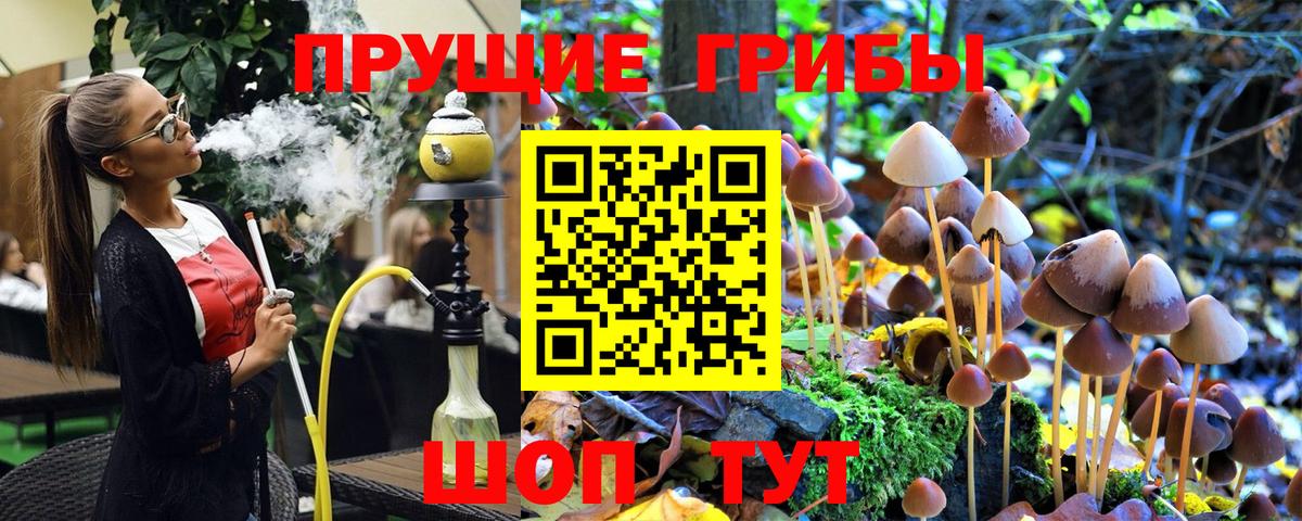 Псилоцибиновые грибы ЛСД Корсаков