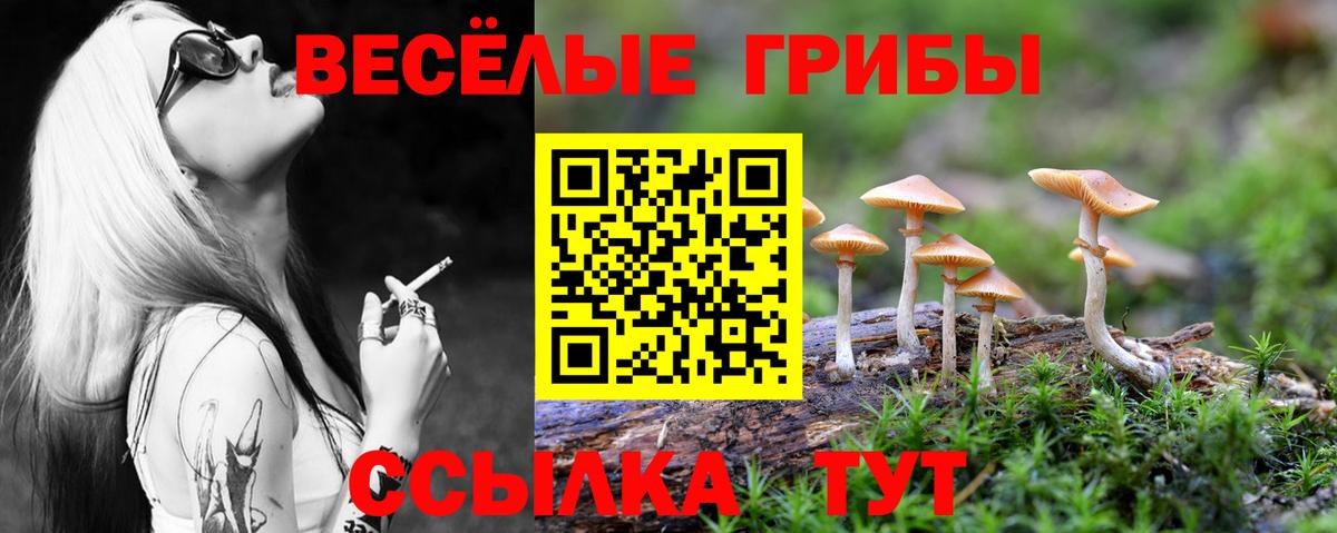 Псилоцибиновые грибы мухоморы  Вход с VPN  Галлюциногенные грибы ЛСД  Корсаков 